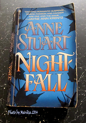 Nightfall by Anne Stuart
