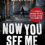 Now You See Me by S. J. Bolton